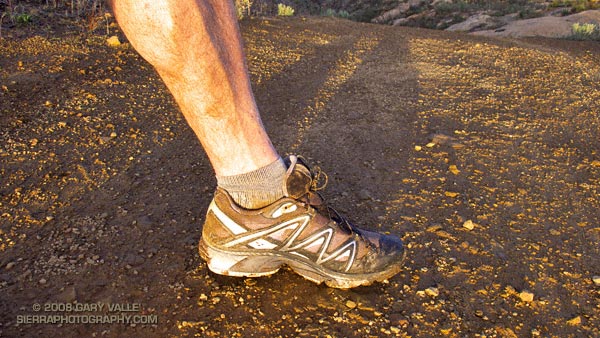 Running Shoes With Wings