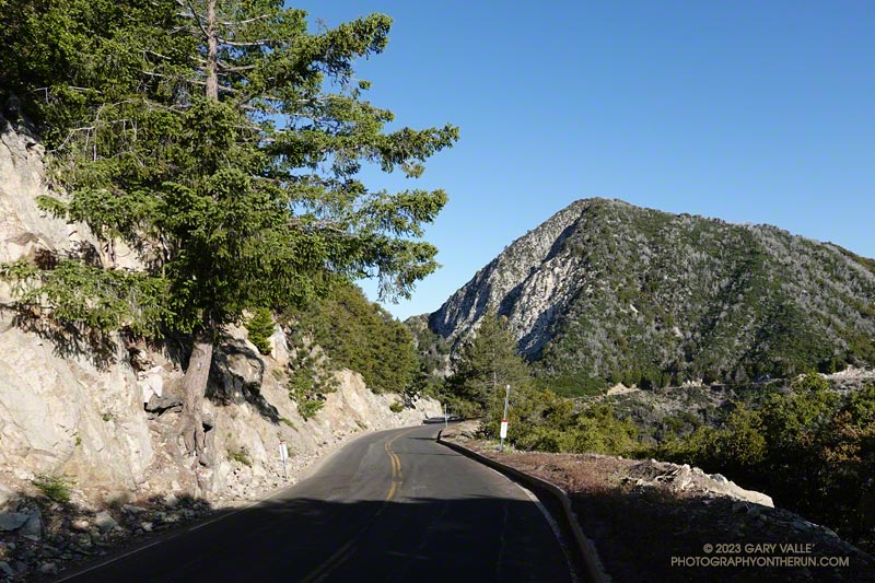 Running down Mt. Wilson Road toward Eaton Saddle and San Gabriel Peak. The route goes around the left side of San Gabriel Peak.
