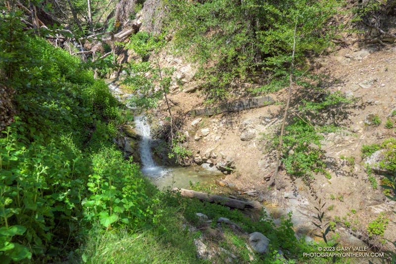 This small stream on the Kenyon Devore Trail is usually the last water on the trail, but that wasn't the case on this run. The rocks on the crossing can be slippery, especially when algae-covered. June 4, 2023.