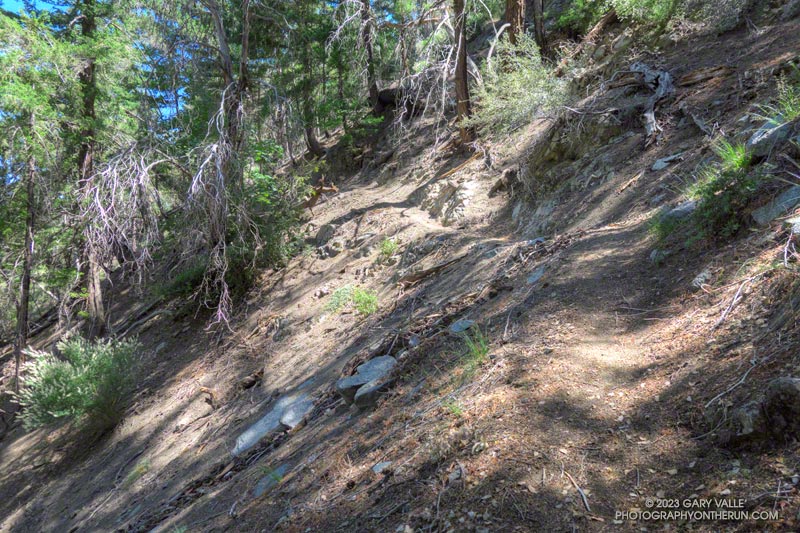 As I climbed up the Kenyon Devore Trail I tried to imagine what it would be like in the 2023 AC100, after running 75 miles . 