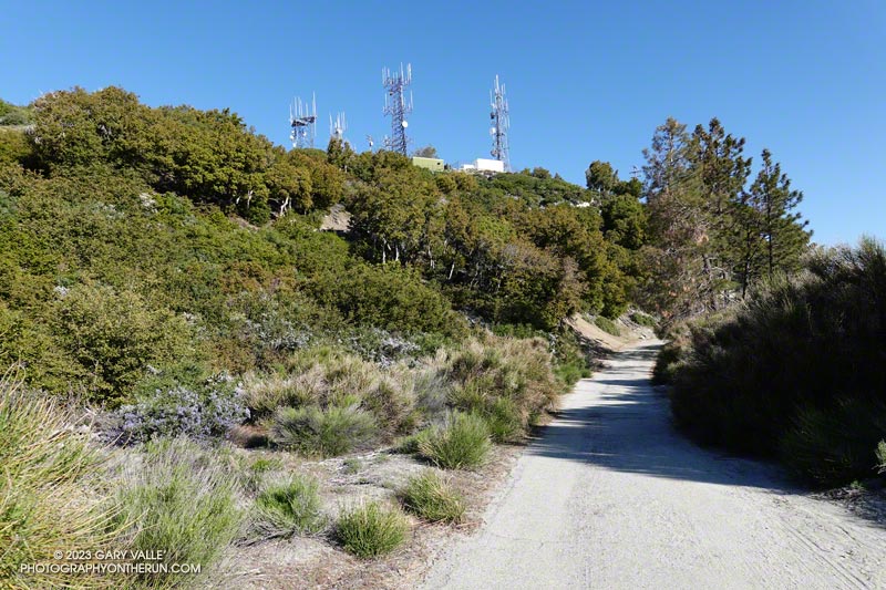 Communication towers on Mt. Disappointment (5960+ feet). The high point of the ANFTR 25K and 50K is on this stretch of road.