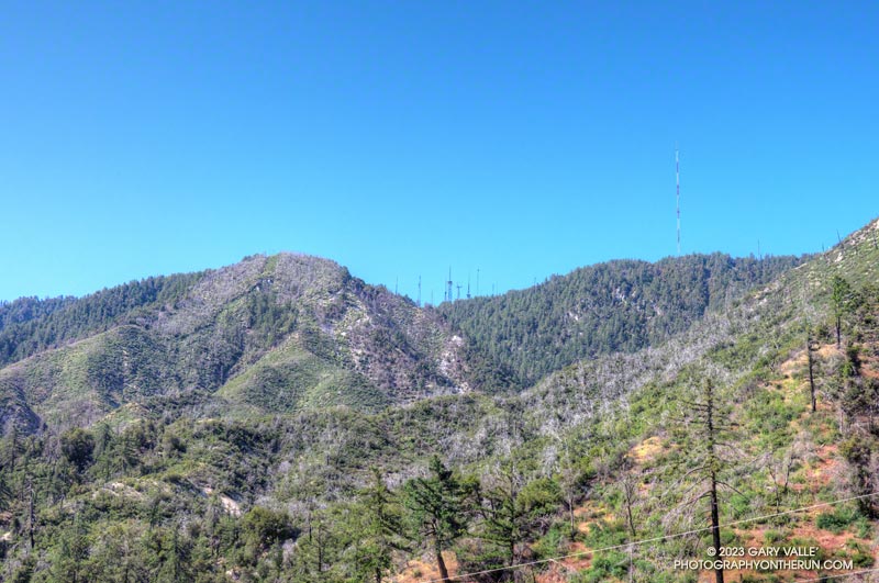 Looking up at the towers on Mt. Wilson from Rincon Red Box Road. The Kenyon Devore Trail tops out at the towers on the left -- and that's where the car is parked.
