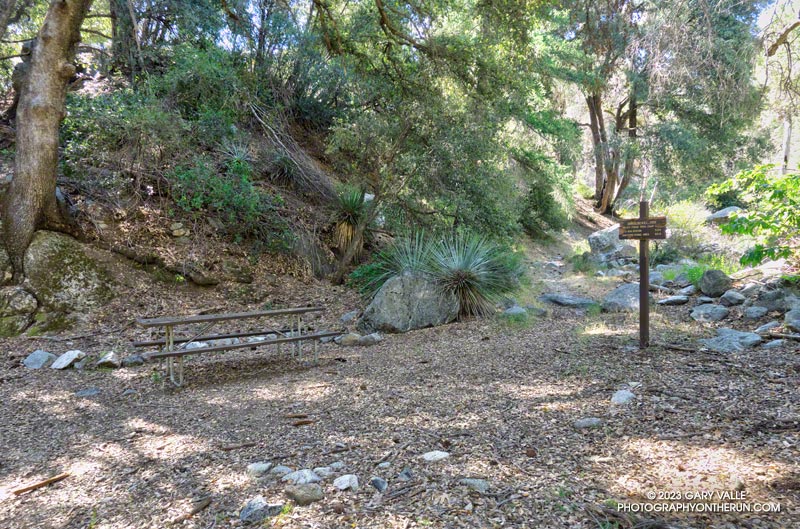 Gabrielino Trail at West Fork Camp. The Gabrielino Trail was overgrown with grass leaving West Fork but the water pipe was easy to access. June 4, 2023.