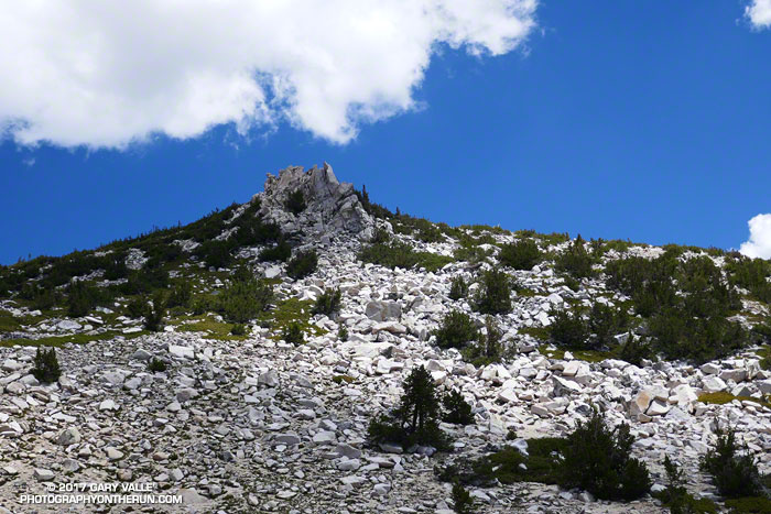Cumulus clouds were already beginning to develop over San Gorgonio Mountain and San Jacinto Peak when I left Gorgonio's summit at 10:45 a.m. and by 1:00 p.m. or so it was mostly cloudy.  Thunder rumbled in the distance a couple of times.