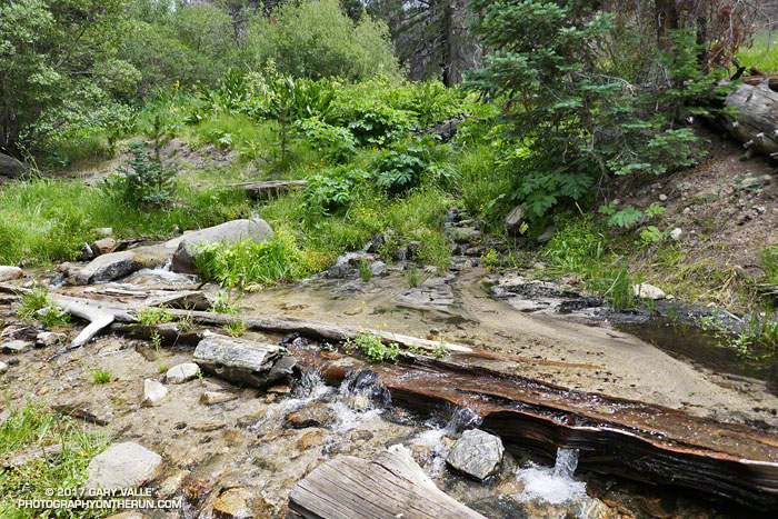 Creek crossing on the Dry lake Trail at South Fork Meadows, near its junction with the Dollar Lake and South Fork Trails. July 29, 2017.