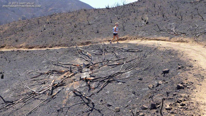 Burned laurel sumac on the Wood Canyon Vista Trail. May 25, 2013.