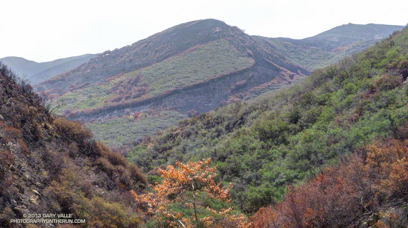 Looking up Serrano Canyon from the (old) rock slide. May 25, 2013.