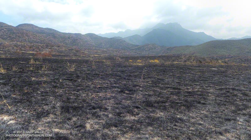 Burned grassland along the Serrano Valley Trail on the descent to Serrano Valley. May 25, 2013.