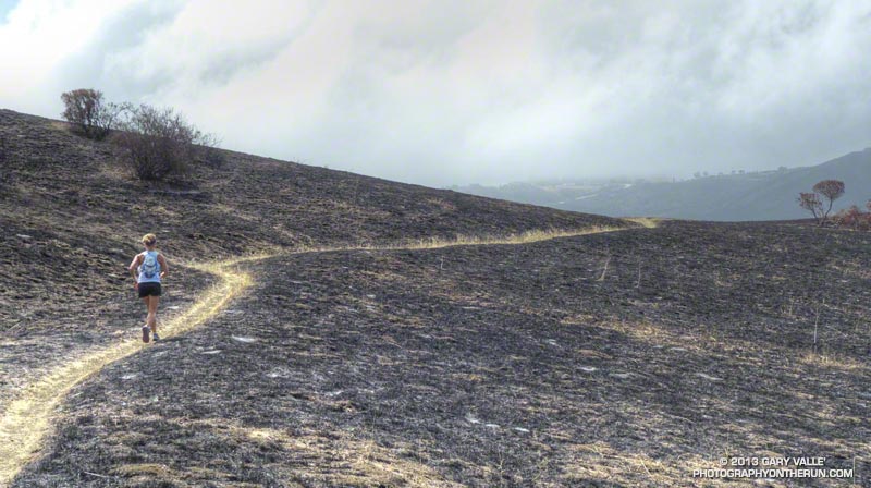 The Serrano Valley Trail near Serrano Valley. May 25, 2013.