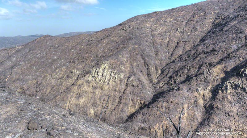 Exposed strata of sandstone and shale in a severely burned tributary canyon of Blue Canyon. This is the Miocene age Old Topanga Formation. The fossils on the Fossil Trail are in this formation. From the Old Boney Trail. May 25, 2013.