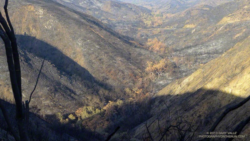 Upper Sycamore Canyon from Danielson Road. May 25, 2013.