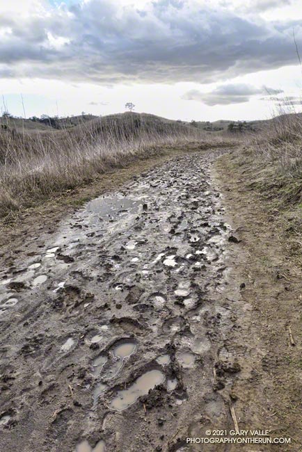 A little mud in East Las Virgenes Canyon following several days of rain. December 28, 2021.