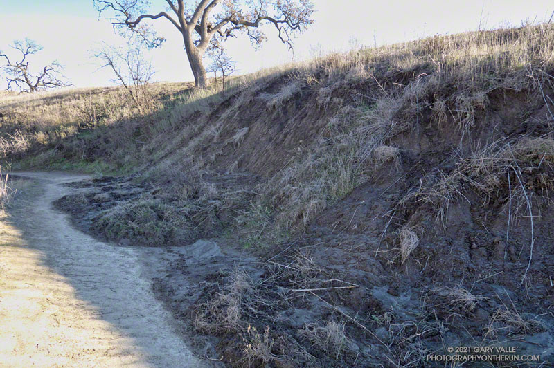 Series of sluffs along road cut on the East Las Virgenes Canyon Trail fire road. January 4, 2022.
