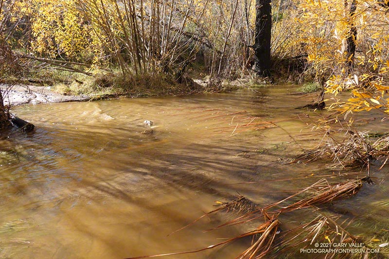 The same point on Upper Las Virgenes Creek on  December 31, 2021. Click here for a few seconds of video.