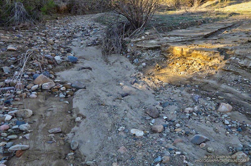 Gravelly section of  Las Virgenes Creek higher in the canyon. Erosion along the channel indicates the extent of the runoff. January 6, 2021.