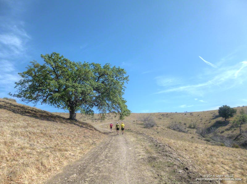 It looked and felt like Summer on the climb out of Las Llajas Canyon. The temperature in the sun was probably in the mid-80's. This is at about mile 24.
