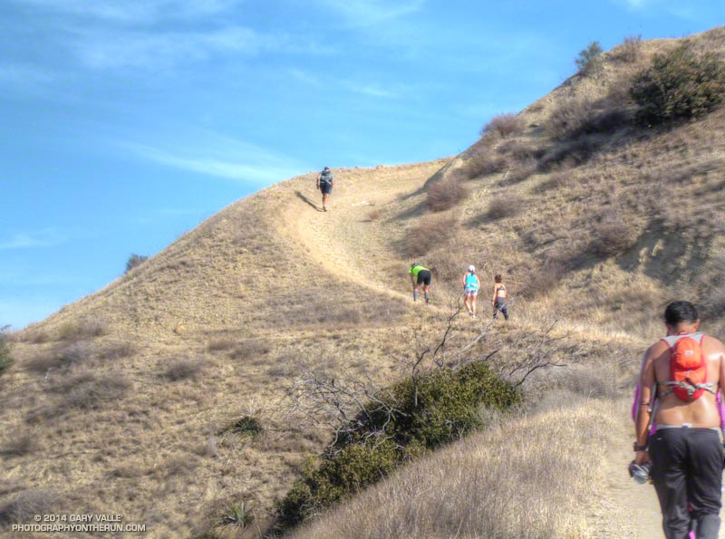 The steepest section of the climb up Hot Dog Hill is about a mile from the Las Llajas aid station and about 10 miles into the 50K. This segment climbs about 675' in 1.6 miles.