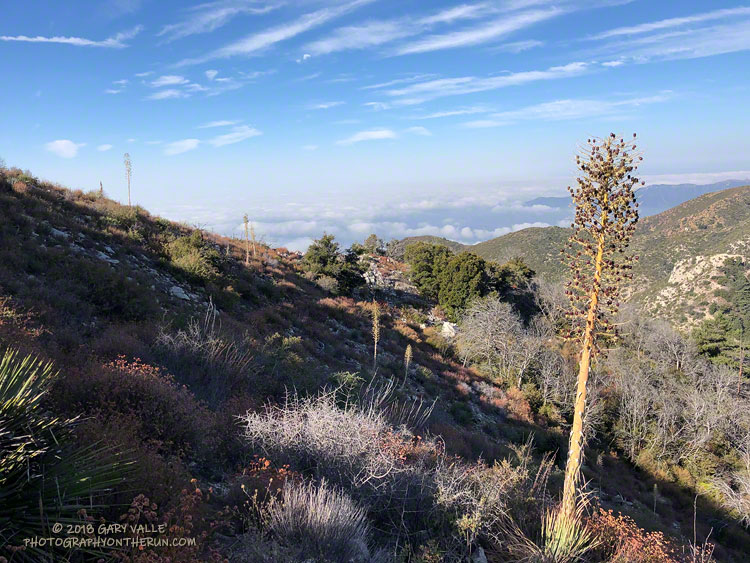 Continuing down the upper Bear Canyon Trail above Tom Sloan Saddle.