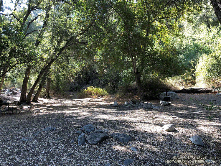 Part of Bear Canyon Trail Camp. The camp is about 4 miles from Switzer's Picnic Area.