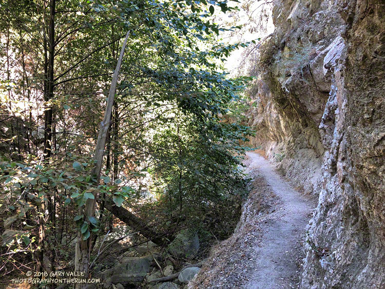 Bear Canyon Trail near the confluence of Bear Canyon with Arroyo Seco.