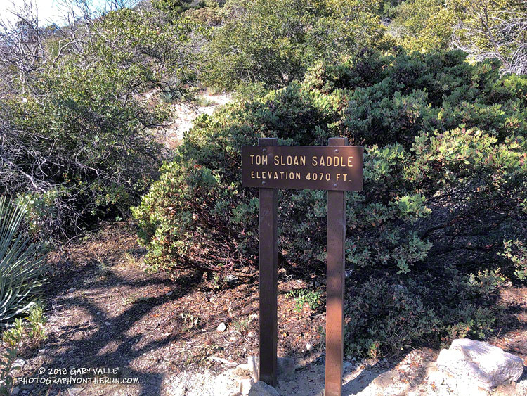 Tom Sloan Saddle. The Bear Canyon Trail makes a sharp right here. (Tom Sloan Trail turns left.)