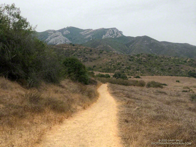 At the start of the run the view of Boney Mountain was relatively clear. The crags on the Western Ridge route are directly ahead, on the skyline.