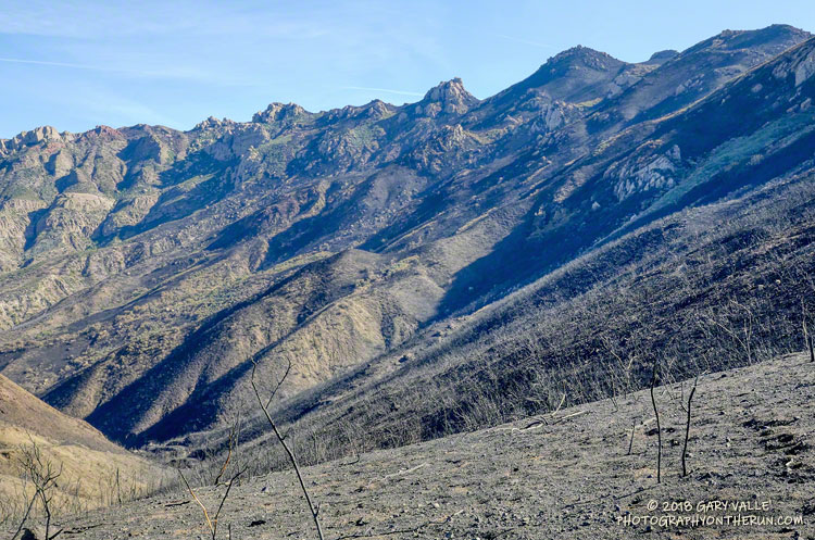 Boney Mountain's western escarpment from near the Chamberlain Trail - Old Boney Trail junction. The Chamberlain Trail ascends the photo-right side of the escarpment.