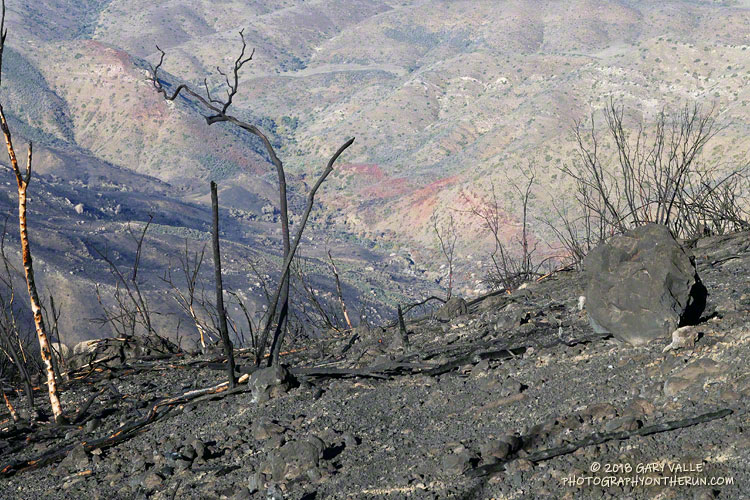 Burned slopes above Blue Canyon.