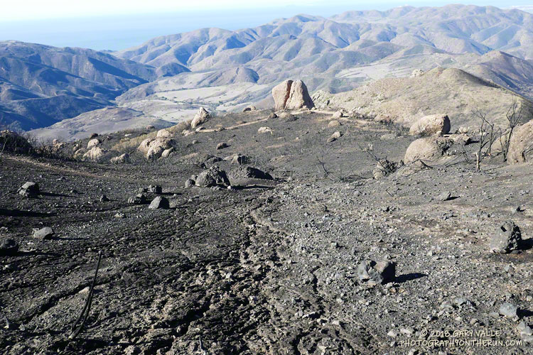 Area of high soil burn severity near Chamberlain Rock.