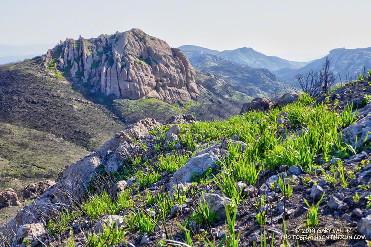 Big Dome from the north slopes of Tri Peaks. Sandstone Peak is in the distance.