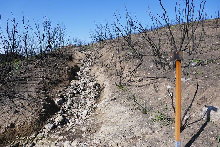 Heavy Winter rains following the Woolsey Fire severely eroded numerous trails in the western half of the Santa Monica Mountains. This is the Tri Peaks Trail. March 24, 2019.