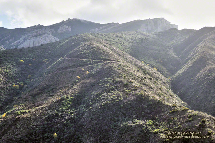 Looking up at peak 2935 (left of center) from Danielson Road, the point most people ascend when climbing "Boney Mountain."  A switchback on Danielson Road can be seen across the canyon. The edge of the Boney Mountain's western escarpment is on the upper right of the photo.