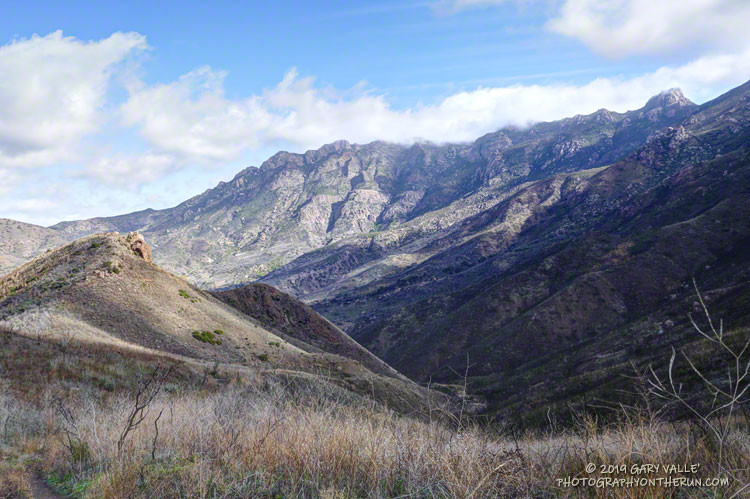 Boney Mountain's western escarpment from the Backbone Trail near the Old Boney and Chamberlain Trail junction. The western ridge route follows a use trail along the top of the escarpment.