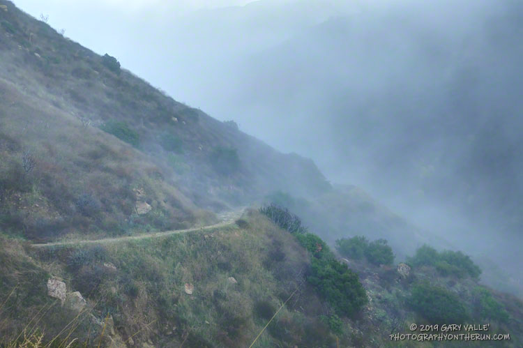 Running down Danielson Road into Upper Sycamore Canyon. There was no water where the fire road crosses the creek, but I could hear a trickle upstream, closer to the "waterfall." December 14, 2019.