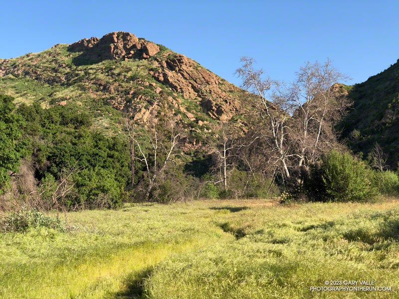 The Forest Trail near its junction with the Crags Road Trail.