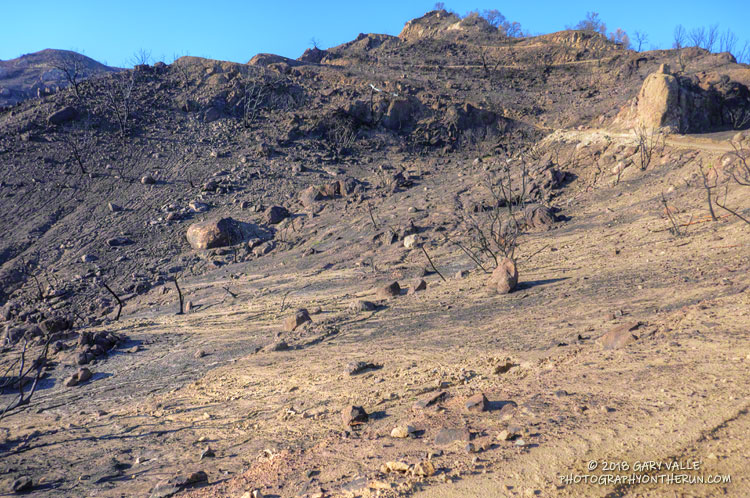 Burned slopes along Bulldog Mtwy, about halfway up the climb.  December 29, 2018.