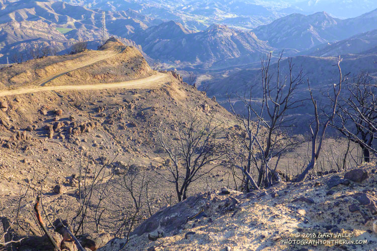 View down Bulldog Mtwy.