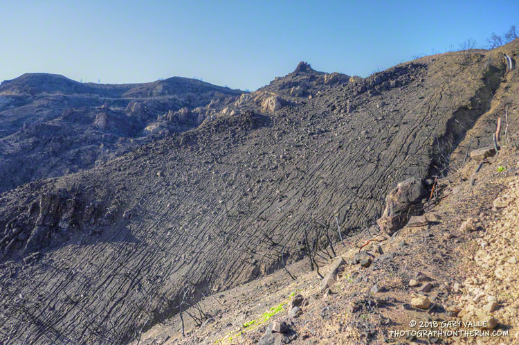 Rills and gully erosion along Bulldog Mtwy. December 29, 2018.