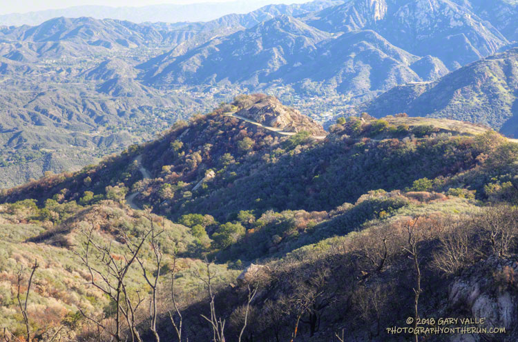 With some exceptions, mostly understory burned  on the section of Mesa Peak Mtwy from the Picnic Table to Tapia Park.