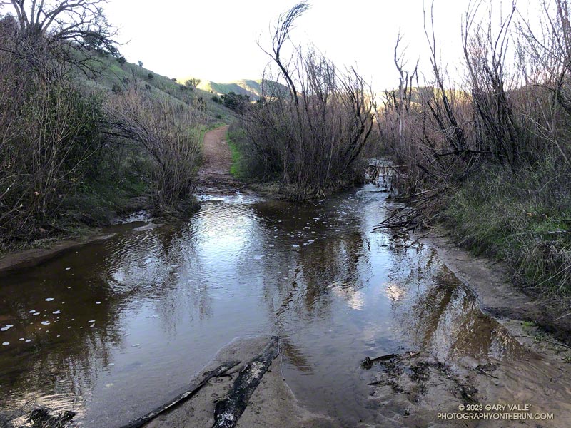 Upper Las VIrgenes Creek a couple of days before the rainbow run. This large pool can be bypassed using a short trail just east of the dirt road.