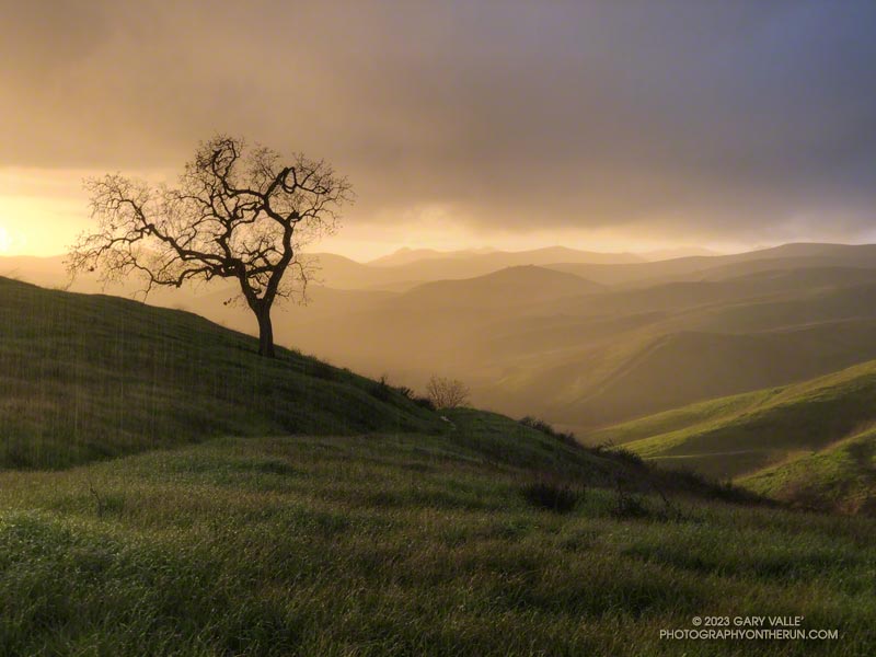 This run was one of the prettiest I've done in 20+ years of running at Ahmanson Ranch. January 19, 2023.