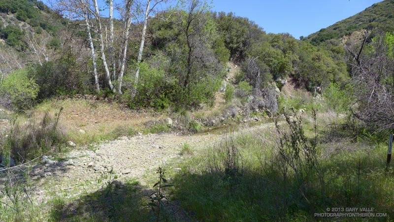 Nearly dry creek at Cottam Camp.