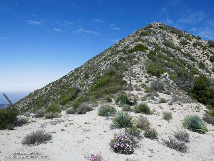 The final climb up the east ridge of Condor Peak. The elevation gain on this last push is about 300'.