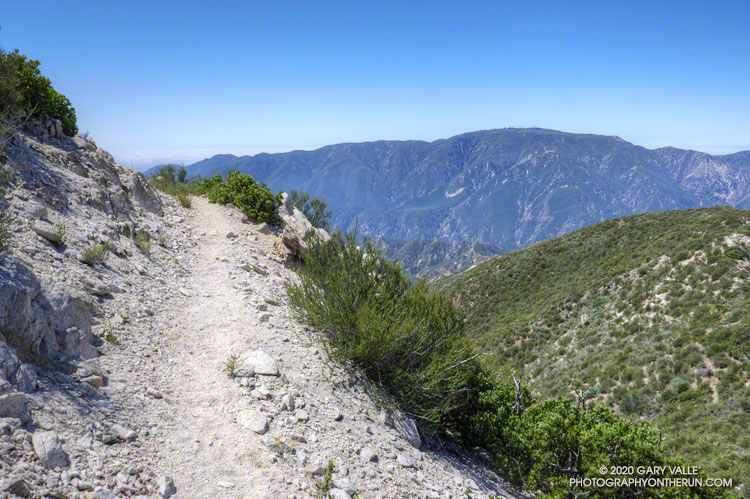 Mt. Lukens from the Condor Peak Trail as it works around the south side of Fox Mountain.