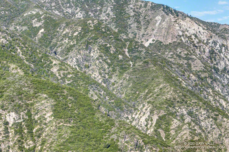 Looking across Big Tujunga Canyon to the Stone Canyon Trail switchbacking up Mt. Lukens.