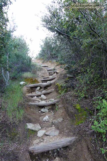 Condor Peak Trail near the Vogel Flat trailhead on Big Tujunga Canyon Road.