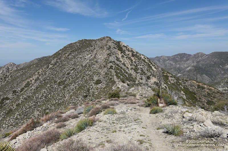 Condor Peak from the east.  For the most part, I followed a rudimentary path that works up the left side of the broad east ridge.
