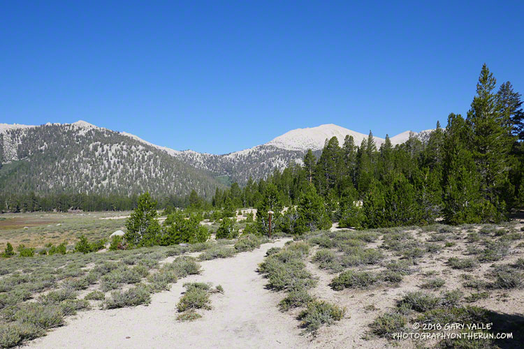 Breathe deeply! This short stretch along Horseshoe Meadow is the only part of the Cottonwood Pass - New Army Pass loop that is (slightly) below 10,000'. Cottonwood Pass (11,160') can be seen in the distance.