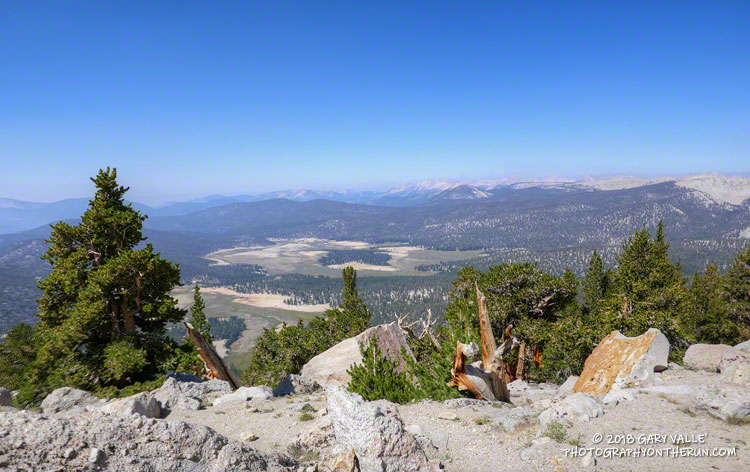 Big Whitney Meadow from the PCT.