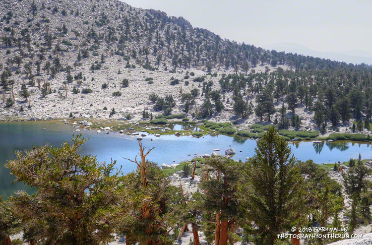 Chicken Spring Lake from the PCT.
